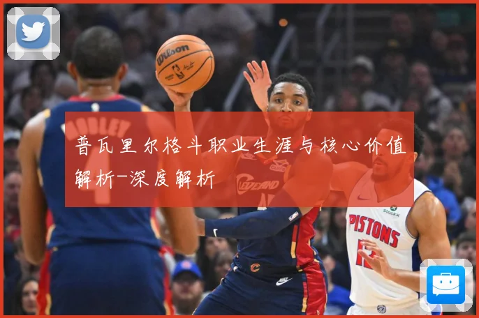 普瓦里尔格斗职业生涯与核心价值解析-深度解析